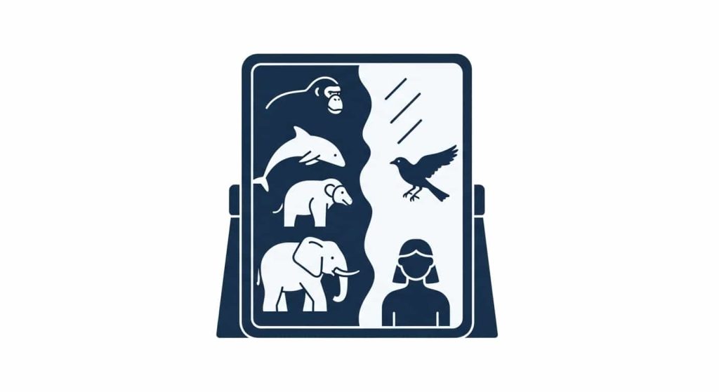 Mirrors and Awareness