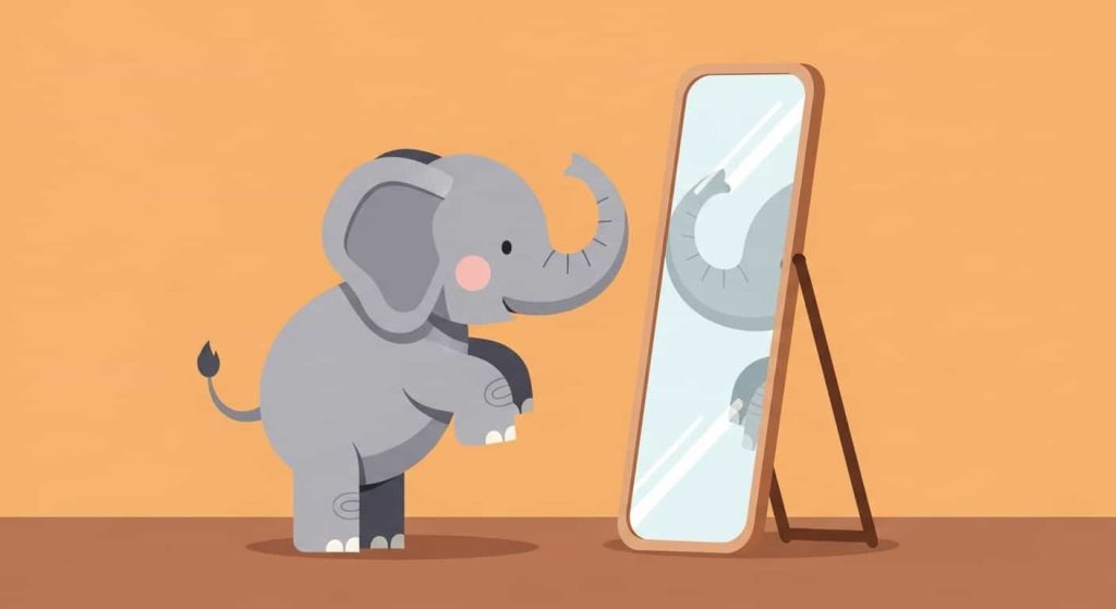 Elephants and self-recognition